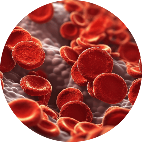 Platelet rich fibrin graphic